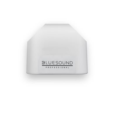 Активна акустична система BLUESOUND BSP125 White