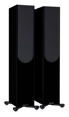 Silver 300 (7G) High Gloss Black
