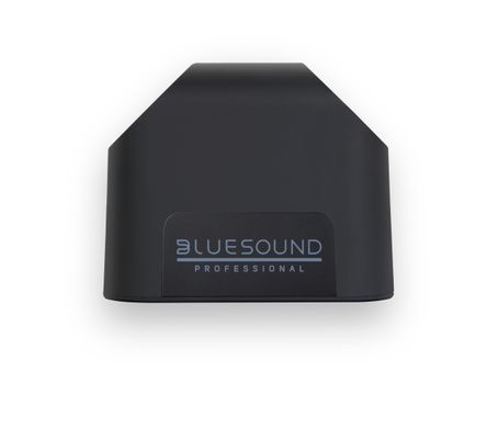 Активна акустична система BLUESOUND BSP125 Black